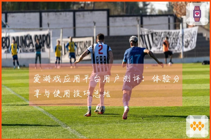 爱游戏应用平台用户测评：体验分享与使用技巧总结